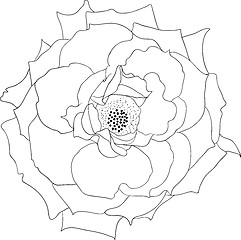 Image showing floral design element and hand-drawn , vector illustration