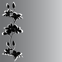 Image showing Vector background with orchids