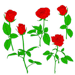 Image showing Set of in hand drawn style roses. 