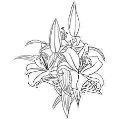 Image showing floral design element and hand-drawn , vector illustration