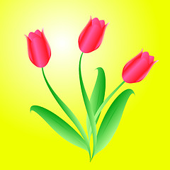 Image showing Vector bouquet from three beautiful tulips