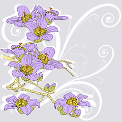 Image showing tender twig blossoming orchids on a light background 