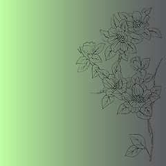 Image showing  hand drawn background with a fantasy flower