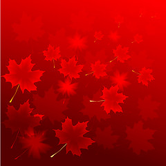 Image showing abstract flora background