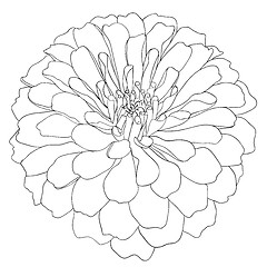 Image showing floral design element and hand-drawn , vector illustration