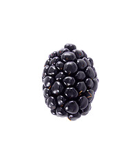 Image showing Single blackberry isolated on a white background