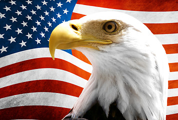 Image showing Eagle in the foreground with the American flag blurred