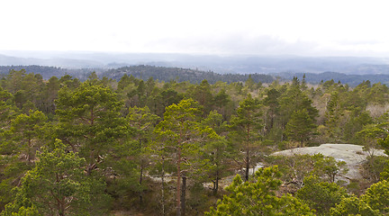 Image showing view over forest with cloudy sky