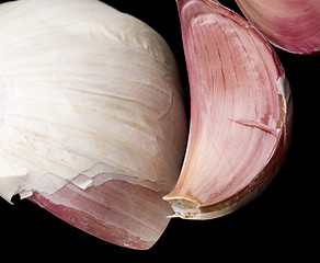 Image showing Garlic isolated on a black background