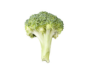 Image showing Broccoli on White Background