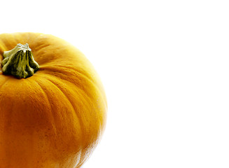 Image showing Orange pumpkin in closeup over white background