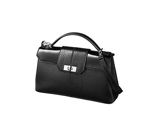 Image showing Black female bag