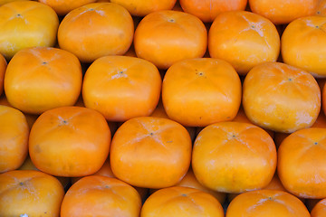 Image showing Persimmons