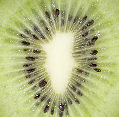 Image showing Abstract photo of a kiwi