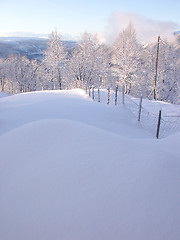 Image showing Winter