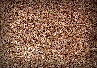 Image showing Cumin seeds