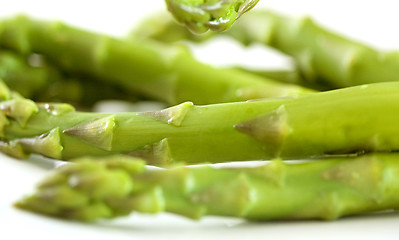 Image showing Steamed asparagus