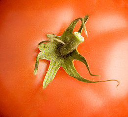 Image showing red tomatoe texture, background , close up