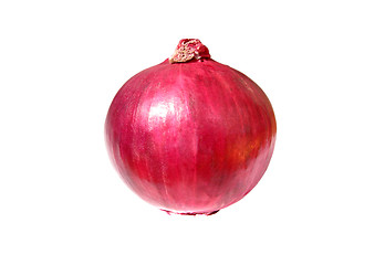 Image showing red onion isolated