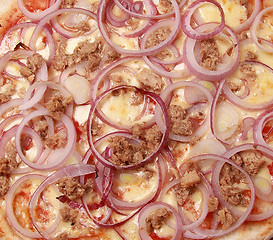 Image showing An onion pizza background