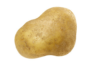 Image showing New potato isolated on white background close up