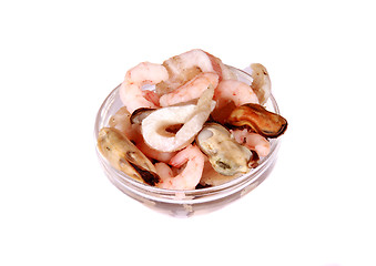 Image showing mussels and prawns in a small glass isolated