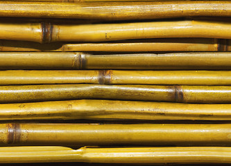 Image showing beautiful Japanese bamboo background