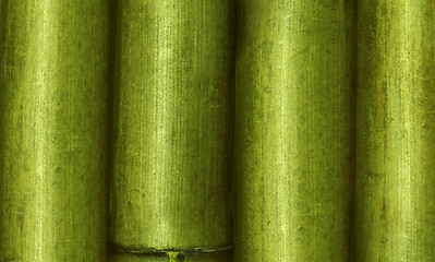 Image showing bamboo background