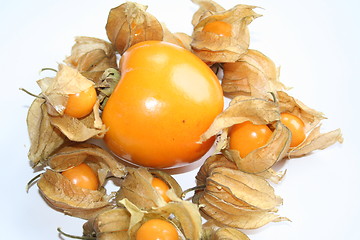 Image showing Persimon and physalis