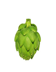 Image showing Ripe green artichoke vegetable isolated on white background