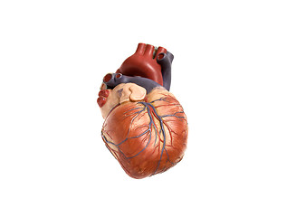 Image showing heart artificial