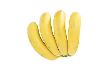 Image showing Bunch of bananas isolated on white background