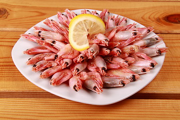 Image showing seafood shrimp bake in white plate