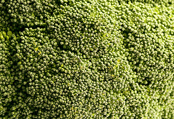 Image showing background of broccoli, close up .