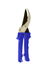 Image showing blue garden shears isolated on a white background.