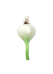 Image showing Green Onion