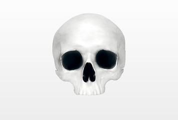 Image showing close up of a skeleton on white background