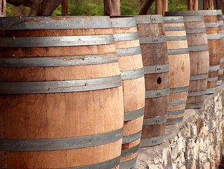 Image showing Empty wine casks