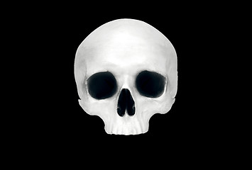 Image showing Front view of a fake skull