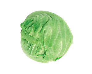 Image showing Fresh green cabbage vegetable