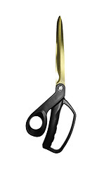 Image showing Scissors isolated