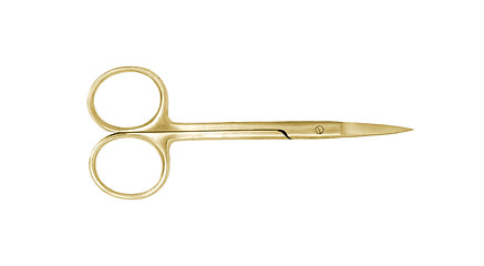 Image showing Golden manicure scissors