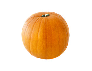 Image showing Single fresh pumpkin isolated on white background