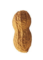Image showing Peanuts isolated