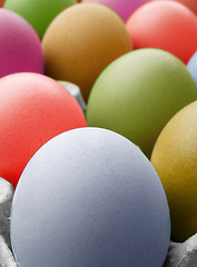 Image showing multi color eggs