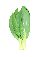 Image showing Lettuce isolated on white