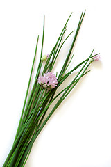 Image showing Chive