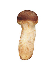 Image showing boletus edulis isolated on white background