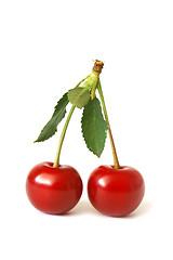 Image showing Cherries