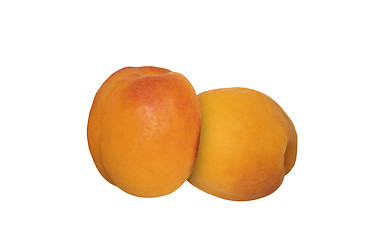 Image showing Apricots isolated on a white background